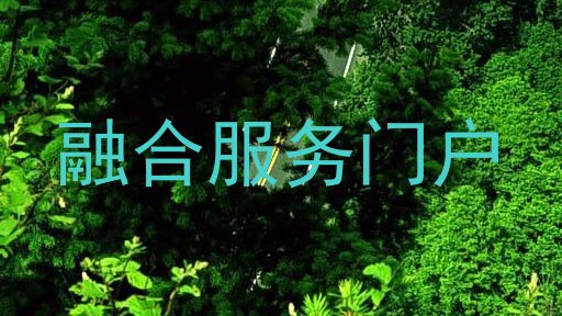 融合服务门户