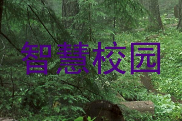 智慧校园