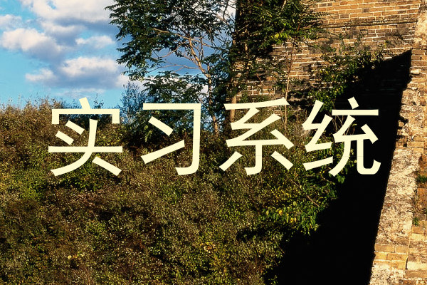 实习系统