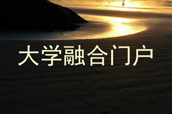 大学融合门户