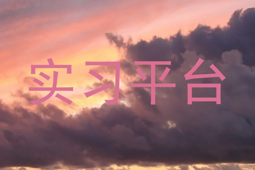 实习平台