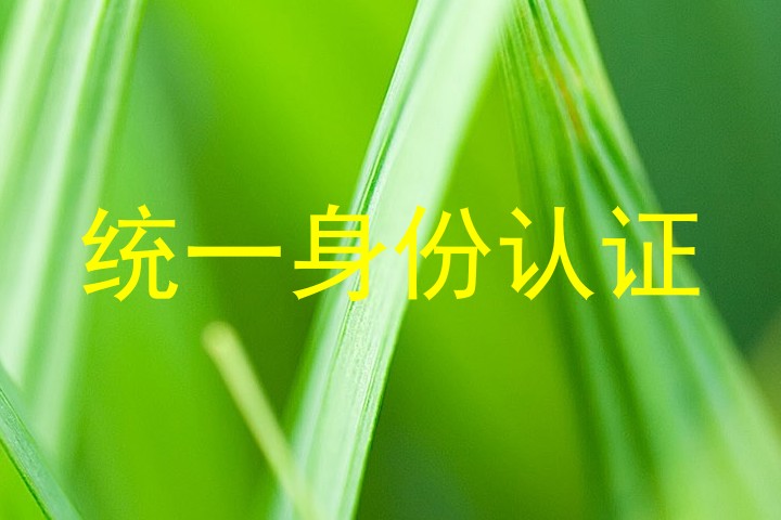 统一身份认证