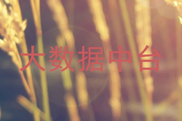 大数据中台