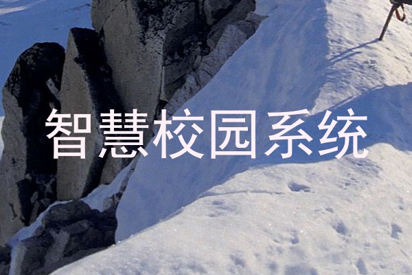 智慧校园系统
