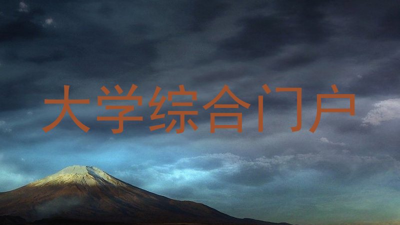大学综合门户