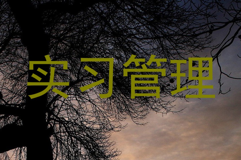 实习管理