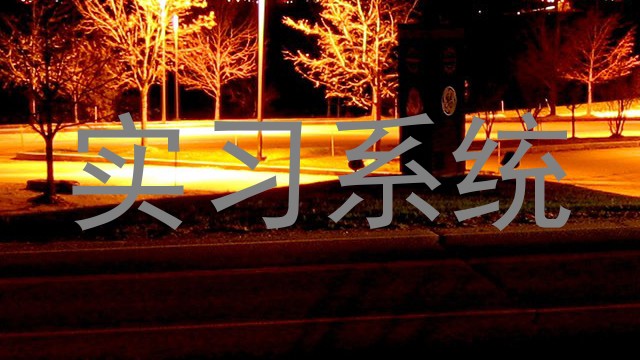 实习系统