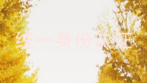 统一身份认证
