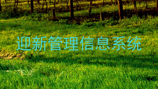 迎新管理信息系统