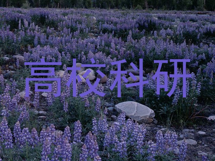 高校科研