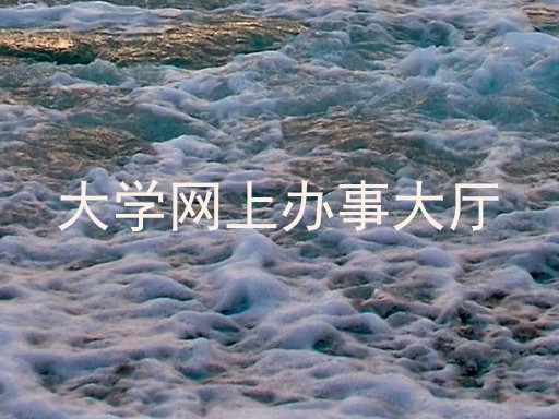 大学网上办事大厅