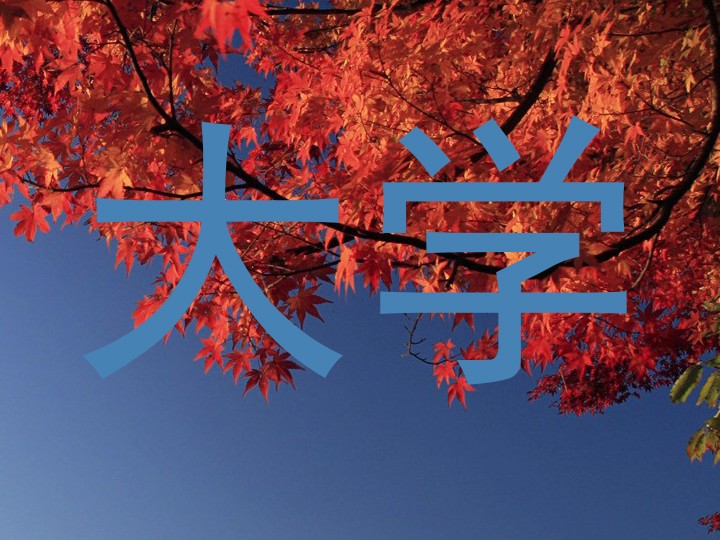 大学