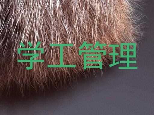 学工管理