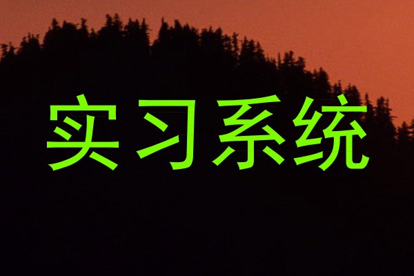 实习系统