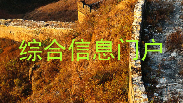 综合信息门户
