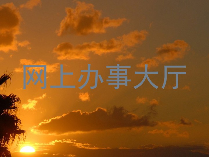 网上办事大厅