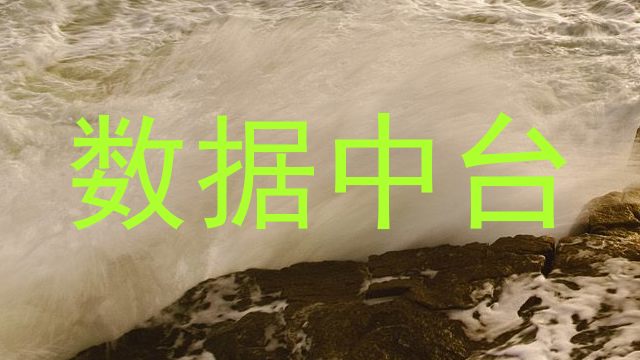数据中台