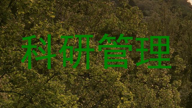 科研管理