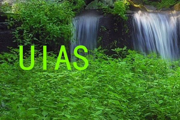 UIAS