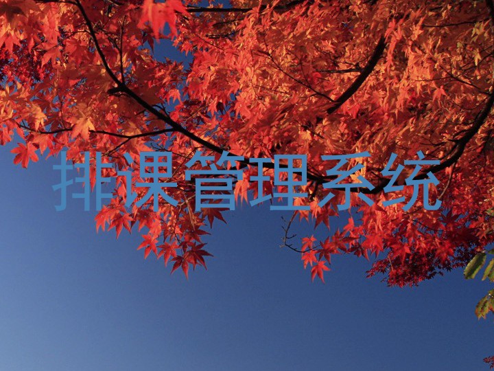 排课管理系统