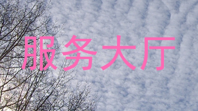 服务大厅