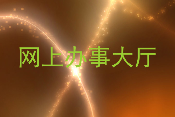 网上办事大厅