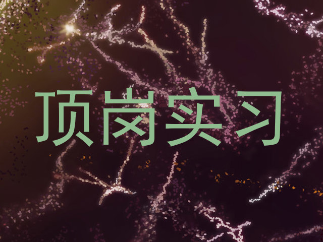 顶岗实习