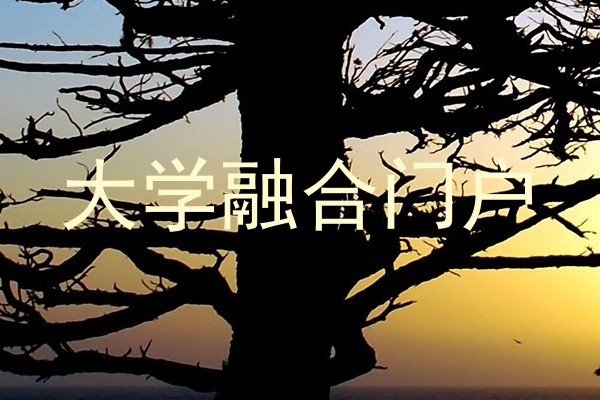 大学融合门户