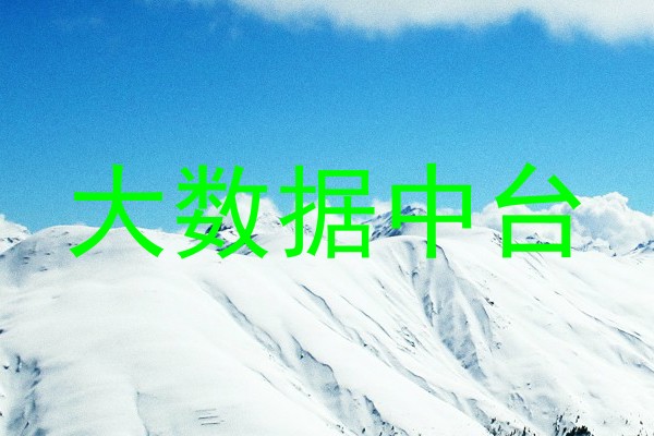 大数据中台