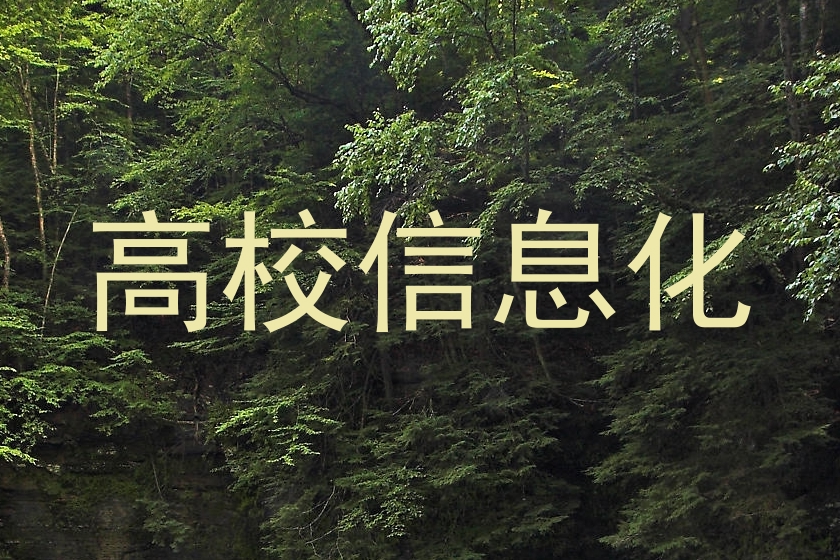 高校信息化