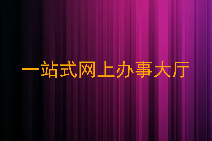 一站式网上办事大厅