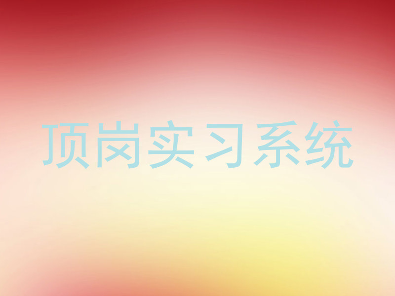 顶岗实习系统
