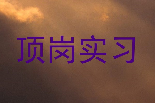顶岗实习