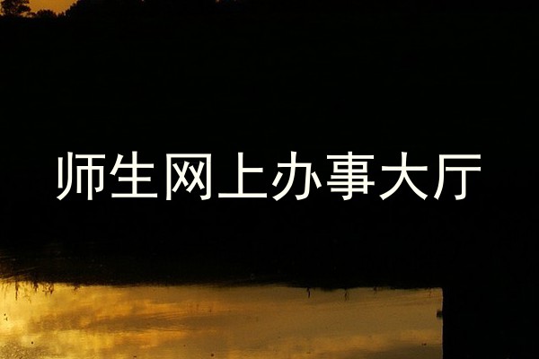 师生网上办事大厅