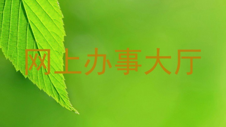 网上办事大厅