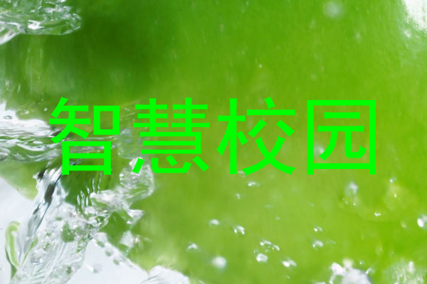 智慧校园