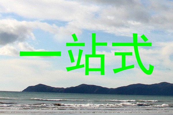 一站式
