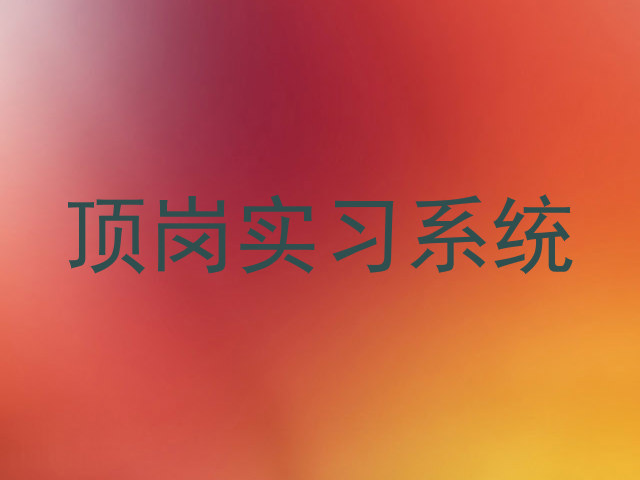 顶岗实习系统