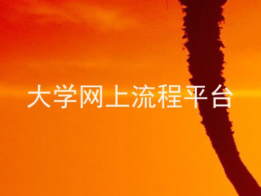 大学网上流程平台