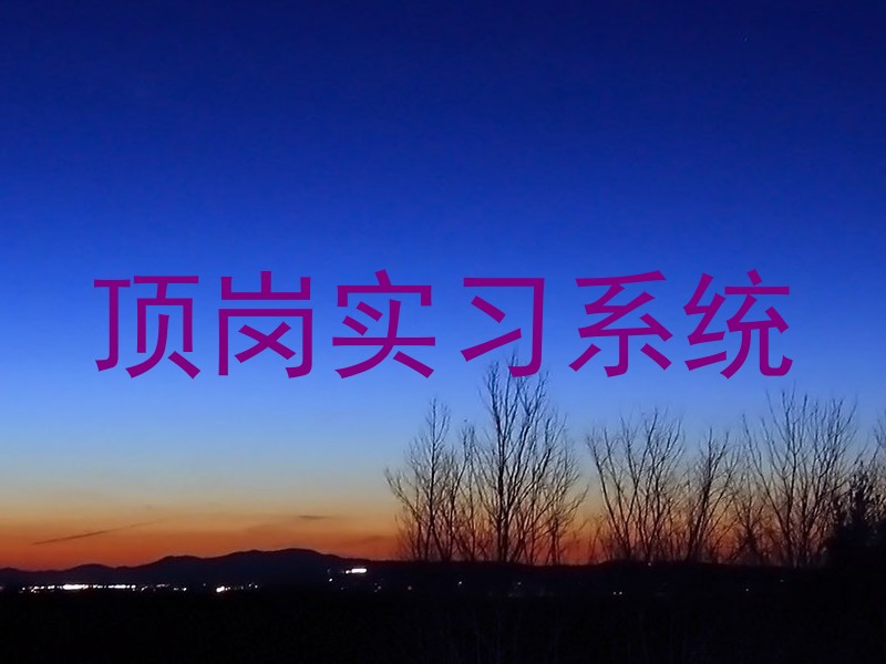 顶岗实习系统