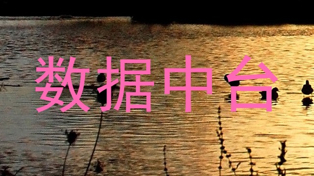 数据中台