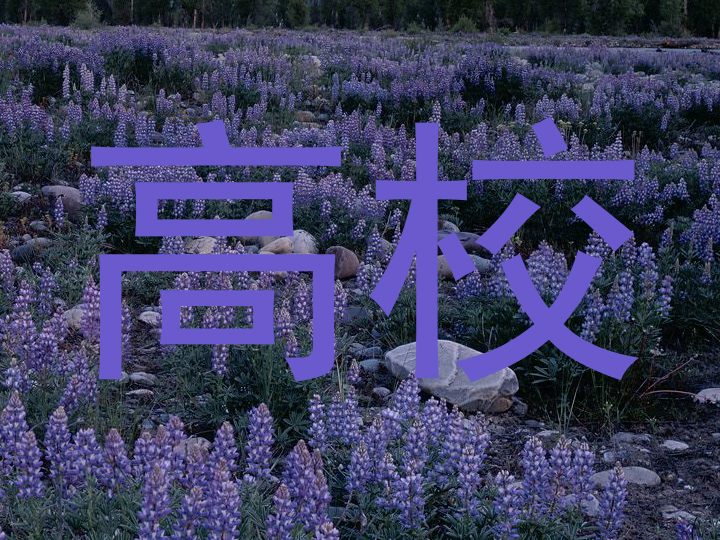 高校