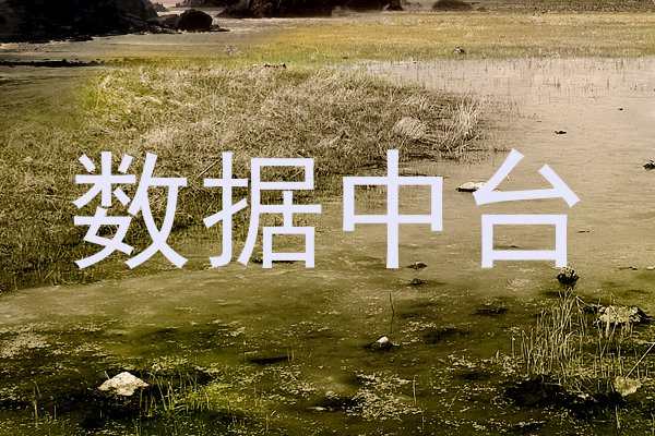 数据中台