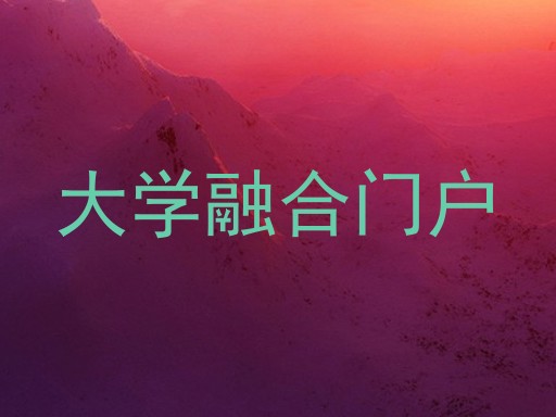 大学融合门户