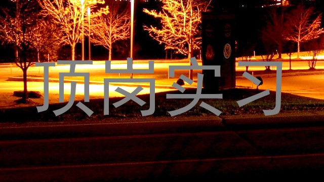 顶岗实习