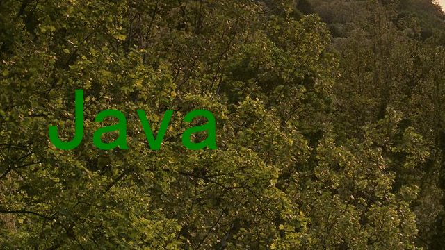 Java