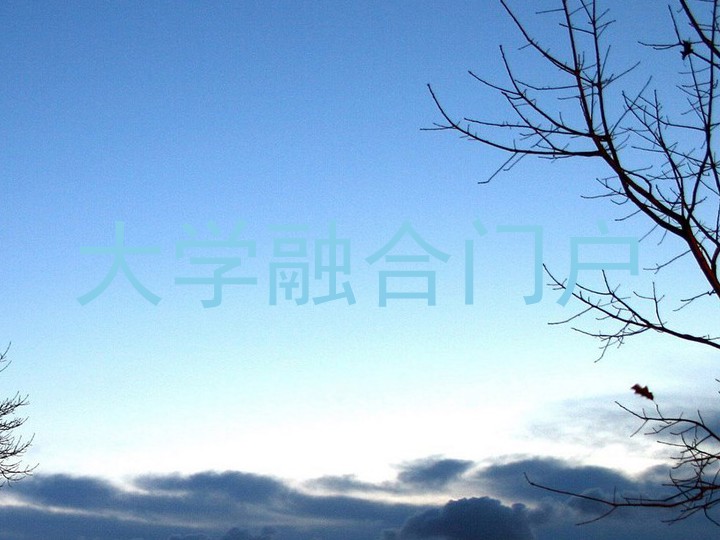 大学融合门户