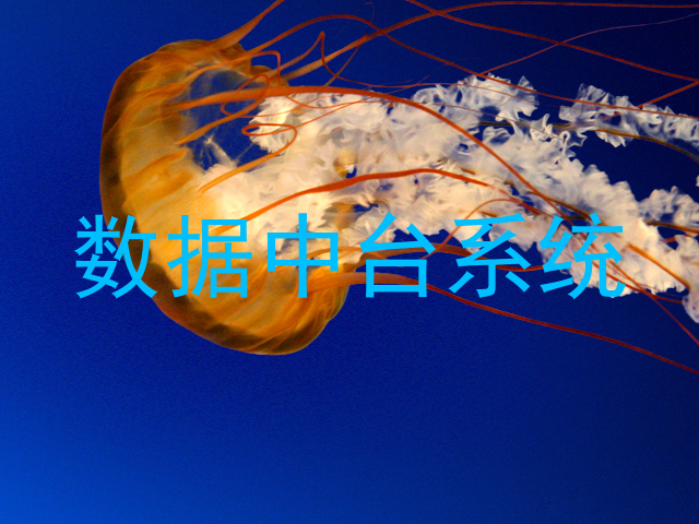 数据中台系统