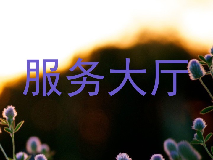 服务大厅