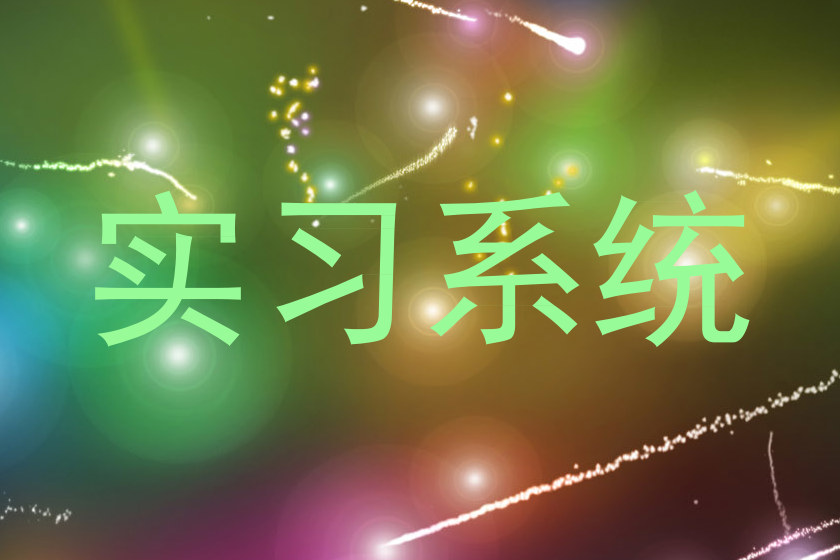 实习系统